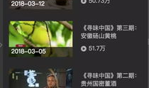 纪录片短视频,纪录片短视频深度解析