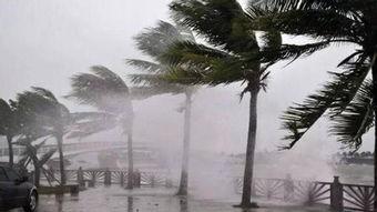 天鸽台风短视频,短视频记录惊心动魄瞬间